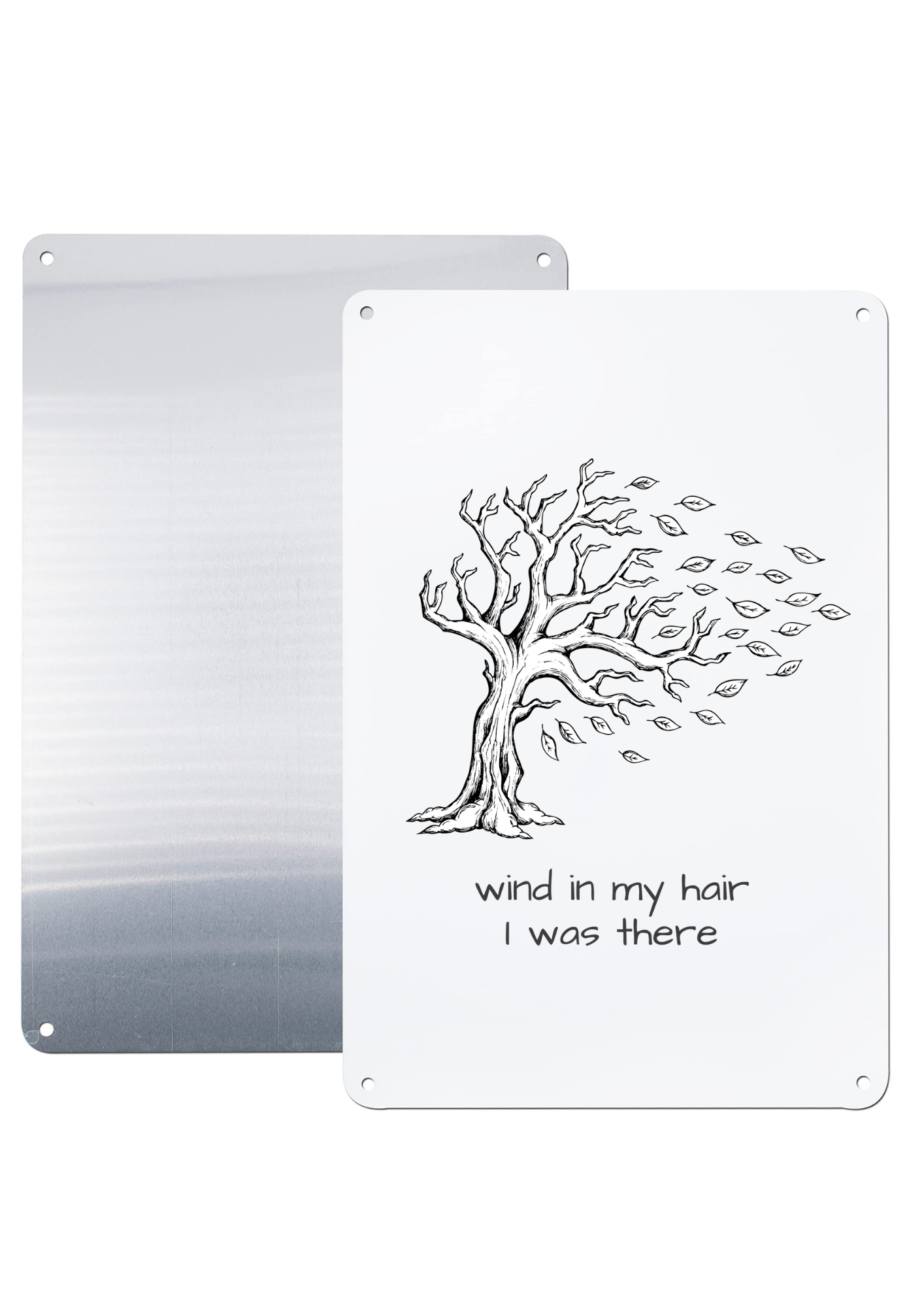 Taylor Swift-Inspired Metal Print – A4 Aluminium